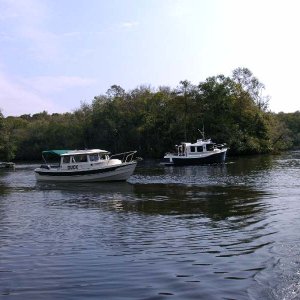 C-Ranger being Circled by the Duck