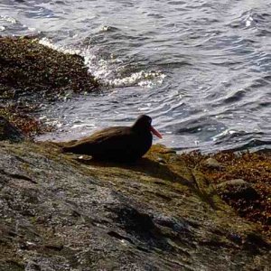 20070504 - 19 San Juans w Dad & Lopez C-Dory Gathering