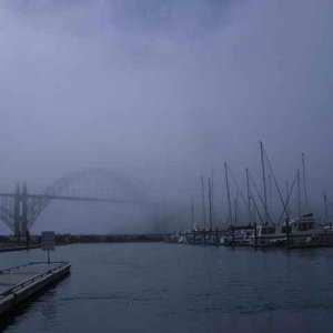 20070603 - 05 Newport Halibut Trip - Kinda Foggy