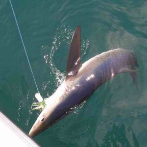 20070623 - 06 Newport Fishing