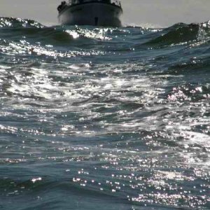 20070623 - 10 Newport Fishing