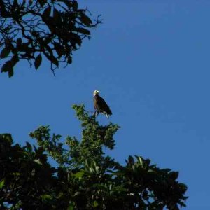20070629 - 08 Camping on Patos Island San Juans