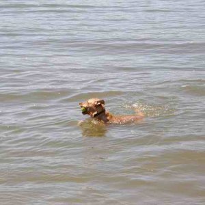 20070704 - 03 Afternoon on the Columbia River