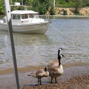 20070715 - 04 Boating with Friends on Willamette River - Locals