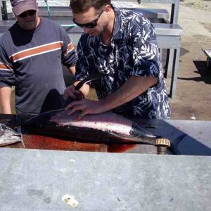 20070810 - 06 Newport Tuna - Learning how to fillet a Tuna
