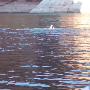 Bill floating on his back at Explorer Canyon