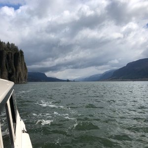 The Columbia Gorge is not gross.