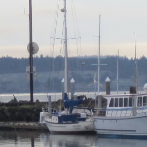 37\' Permagrin behind whale watch boat