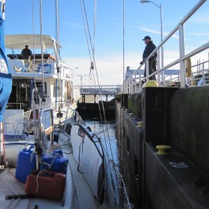 Ballard Locks