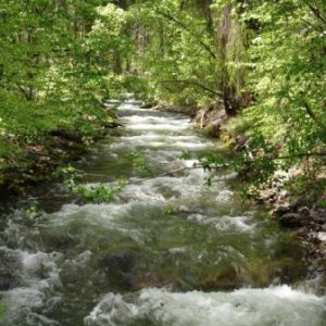 Rainbow Creek