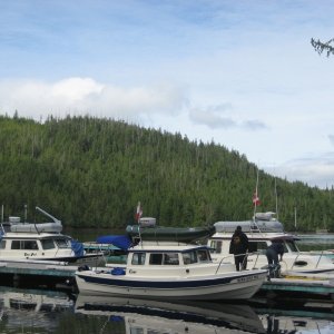 Shawl Bay Marina  C-Dorys