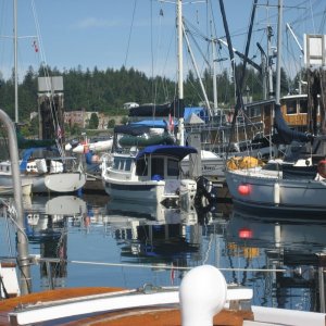Alert Bay Marina  moorage