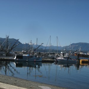 Alert Bay Marina