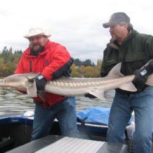 There you have it. One five foot sturgeon aboard for a photo session.