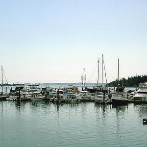 (Photo by Lynn Marie Enhanced by Pat Anderson) C-Pod at Lopez