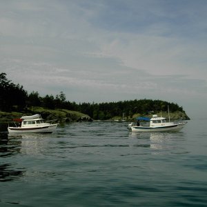 (Lynn Marie) Ling Cod school for the Daydream