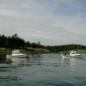 (Lynn Marie) Session 102 of school for the cod