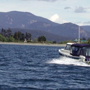 (Pat Anderson) Bambina Heading Home