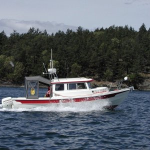 (Pat Anderson) Sea Shift Heading Home