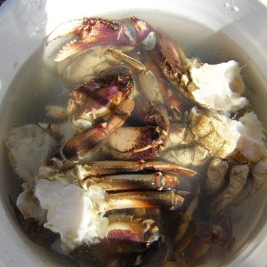 Crab Boil...Yumm!Good Work Doug!!