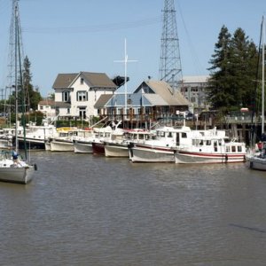 Tug Reunion at Petaluma