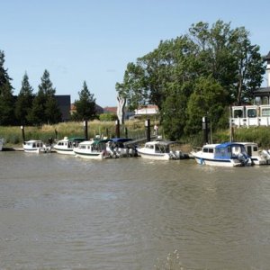 C-Brat lineup at Petaluma