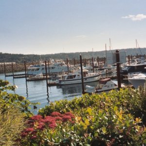 Marina at Campbell River, very nice place