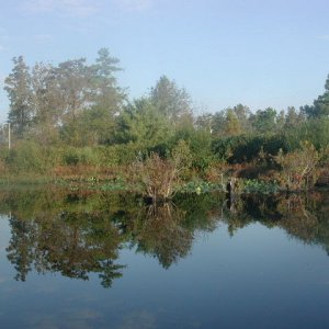 Reflections on the Pamunkey River (ICW)