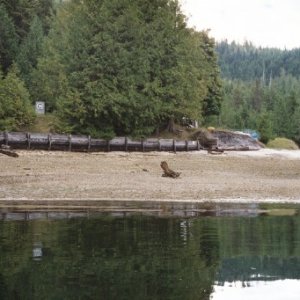 Clam shell beach at Marine Park, Echo Bay.jpg