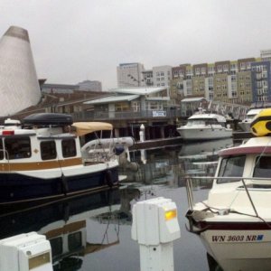 Amy Marie and Daydream at Dock Street Marina