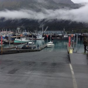 Seward harbor
