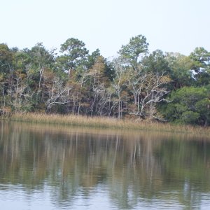 Apalachicola River