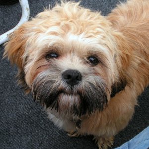 (Pat Anderson) Oscar