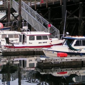 (Pat Anderson) Dorys on Display Friday - Two Lucky Fish, Anita Marie, Da Nag and Bambina