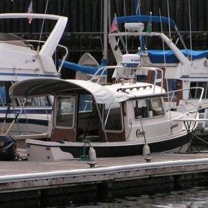 (Pat Anderson) Sensei