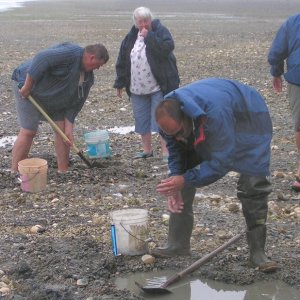 (Pat Anderson) Roger, Lisbeth and Jon Clam Digging at DNR Beach