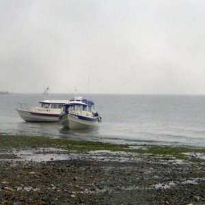 (Pat Anderson) Boats on the Outgoing Tide