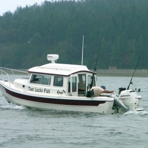 (Pat Anderson) Two Lucky Fish