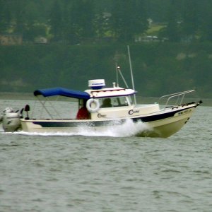 (Pat Anderson) C-Lou