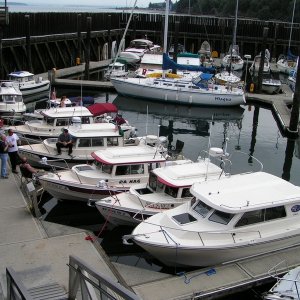 (Pat Anderson) And Still More C-Dorys