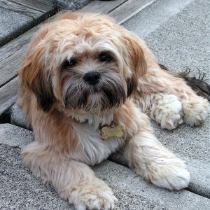 (Pat Anderson) And Yet More Oscar - Which is YOUR Favorite?