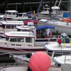 (Pat Anderson) Dorys Jammed in with the Door Closed