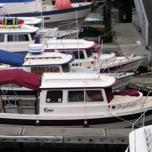 (Pat Anderson) Dorys