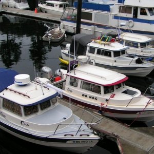 (Pat Anderson) Dorys