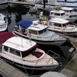 (Pat Anderson) And More Dorys