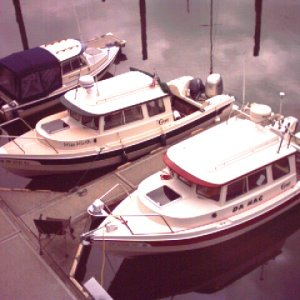 Bambina, Miss Mirth & Da Nag