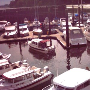 (Ruth & Joe) Daydream & other C-Dory's