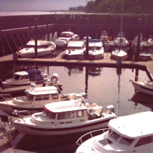 (Ruth & Joe) Saturday morning at Langley - before it really got CROWDED.