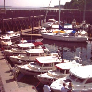 (Ruth & Joe) C-Dory Line-up