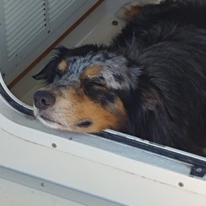 Random shots from Pensacola Bay area